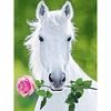 Алмазная вышивка Белая лошадь Полный дрель Алмазная картина Вышивка крестом Наборы изображений Стразы