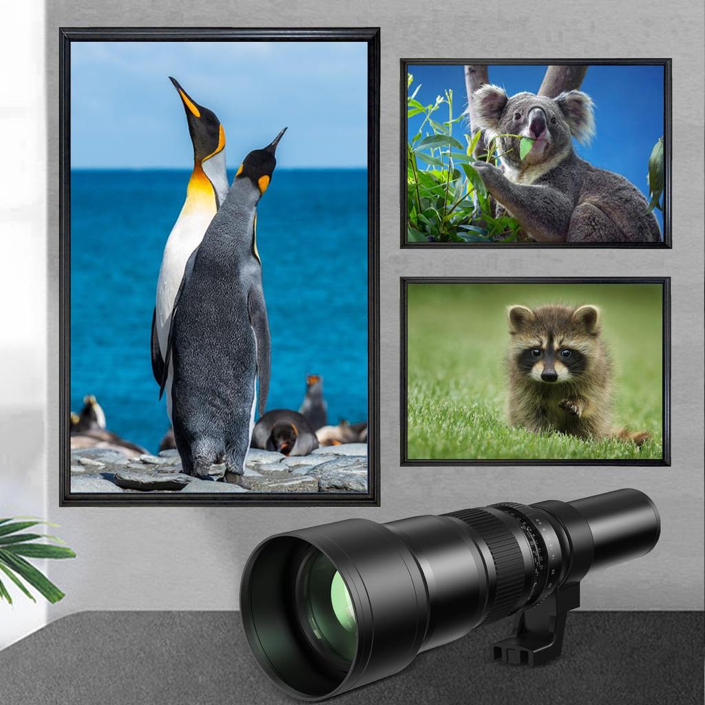 Lightdow 500mm Large Telephoto Lens SLR Lens Compatible with Nikon D3100 D3200 D3300 D3400 D3500 D5100 D5200 D5300 D5500 D5600 D7100 D7200 D7500 D7000