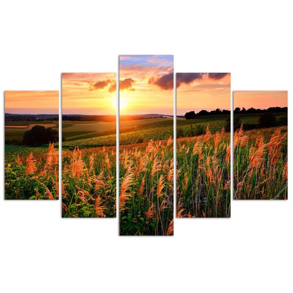 Feeby Five piece picture canvas print, Sunset over a meadow