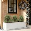 Christmas Red Berry & Pine Needle Potted Plant for Outdoor Landscaping & Courtyard Decor