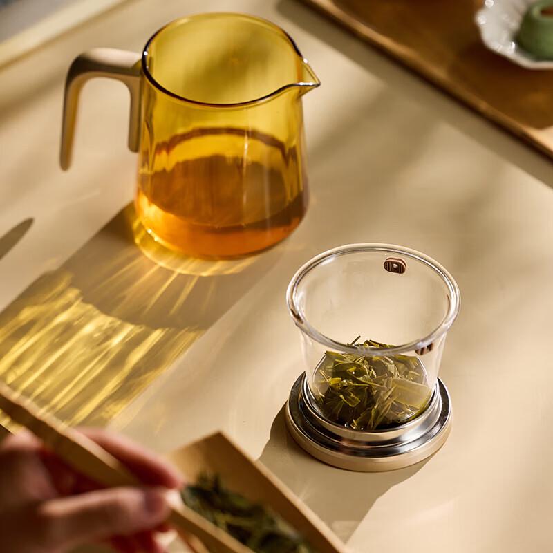 VISIONS Corning Glass Teapot with Filter