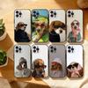P-Pet Милый Чехол для Телефона с Щенком Собаки Для iPhone17,16,15,14,13,12,Plus,Pro Max, 5G Другие Мягкий Черный Чехол