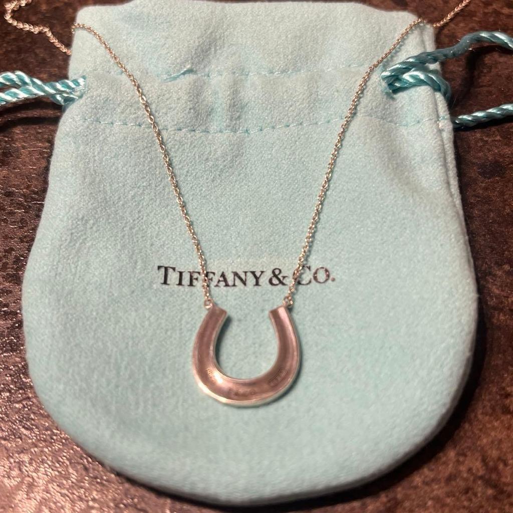 Б/у Tiffany & Co. Подкова Ожерелье Тиффани