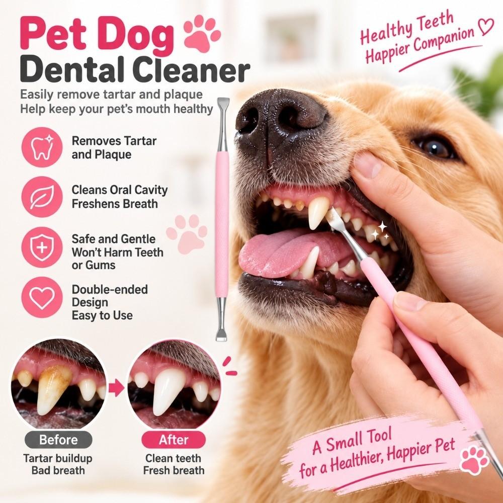 Stainless Steel Dog Tartar Remover Dental Cleaning Pet Oral Cleaning Tool Double Headed Scraper