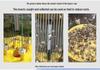 Solar-Powered Suction Insect Killer Lamp for Orchards and Aquaculture