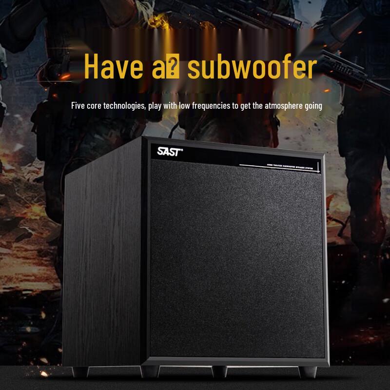 SAST 12-inch Active Subwoofer