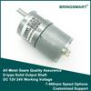 Bringsmart Оптовый DC-двигатель с высоким крутящим моментом Редукторный мотор Электрический мотор 6В 12В 24В Реверсивный JGB37-3530