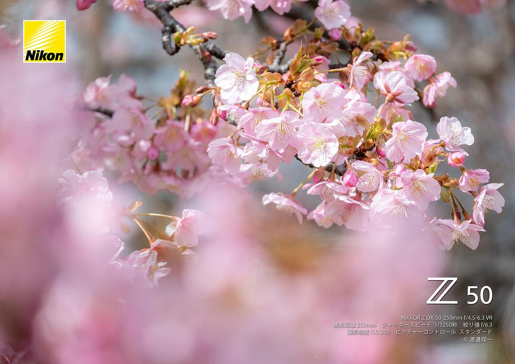 Nikon Telephoto Zoom Lens NIKKOR Z DX 50-250mm F/4.5-6.3 VR Z Mount DX Lens NZDXVR50-250