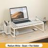 Adjustable Laptop and Desktop Cooling Stand
