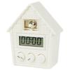 Hassy Top-in Pop-up Timer Shimaenaga EX-3494