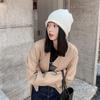 New Alpaca Wool Hat Women's Autumn and Winter Versatile Warm Knitted Hat Trendy Pile Hat Headgear Cold Hat
