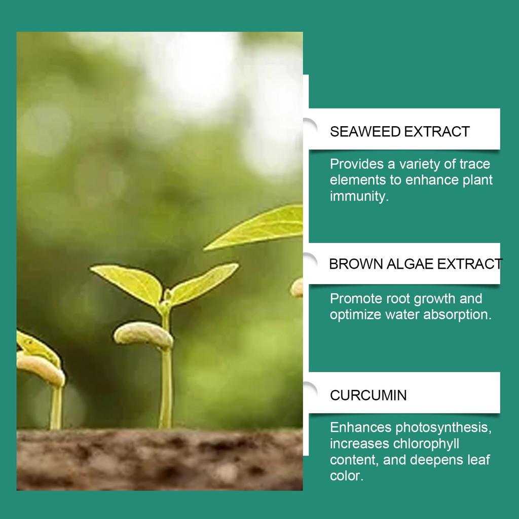 Plant Growth Fertilizer Sticks Slow Release Fertilizer Nutrition Seaweed Fertilizer Plant Growth Gardening Fertilizer Sticks