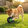 Elasticity Interactive Dog Toy Squeak Sound Dog Chew Wheel Toy Creative Molar Toys  Indoor Play