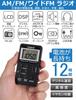 ZHIWHIS Портативный дорожный DSP Высокий Широкий FM Мини ЖК-стерео USB Удобное радио, AM/FM 2-диапазонный цифровой, Чувствительность, Совместимый, AM/FM Радио, Дисплей,