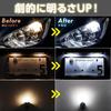 Светодиодная лампа Spherelight SLHOT16 для заднего фонаря, 430 лм, Белый (6000K) 1 штука, Полярность, Совместимо с техосмотром