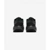 Nike Pegasus 41 Gtx M Черный Антрацит Fq1356 001