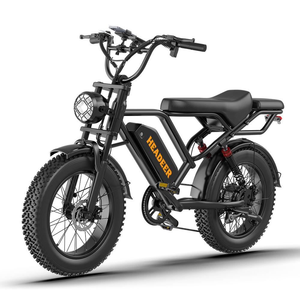 HEADEER BK20 Adult E-Bike 48V20AH Battery 750W Motor Electric Bicycle 150KG Load 80KM Range 20 Inch Fat Tires Off-Road E-Mountain Bike