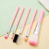 5Pcs Makeup Brush Set Portable Blush Brush Pink Makeup Brush Eyeshadow Brush