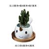 Cute Cartoon Animal Dolphin Succulent Flower Pot Creative Desktop Plant Decoration Ceramic Flower Pot