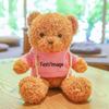 Teddy Bear Sweater Hug Plush Doll for Girls - Valentine's Day or Birthday Gift
