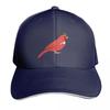 Graduation Cardinal Baseball Cap F fun hats Luxury Hat Ball Cap Unisexs Baseball Womens