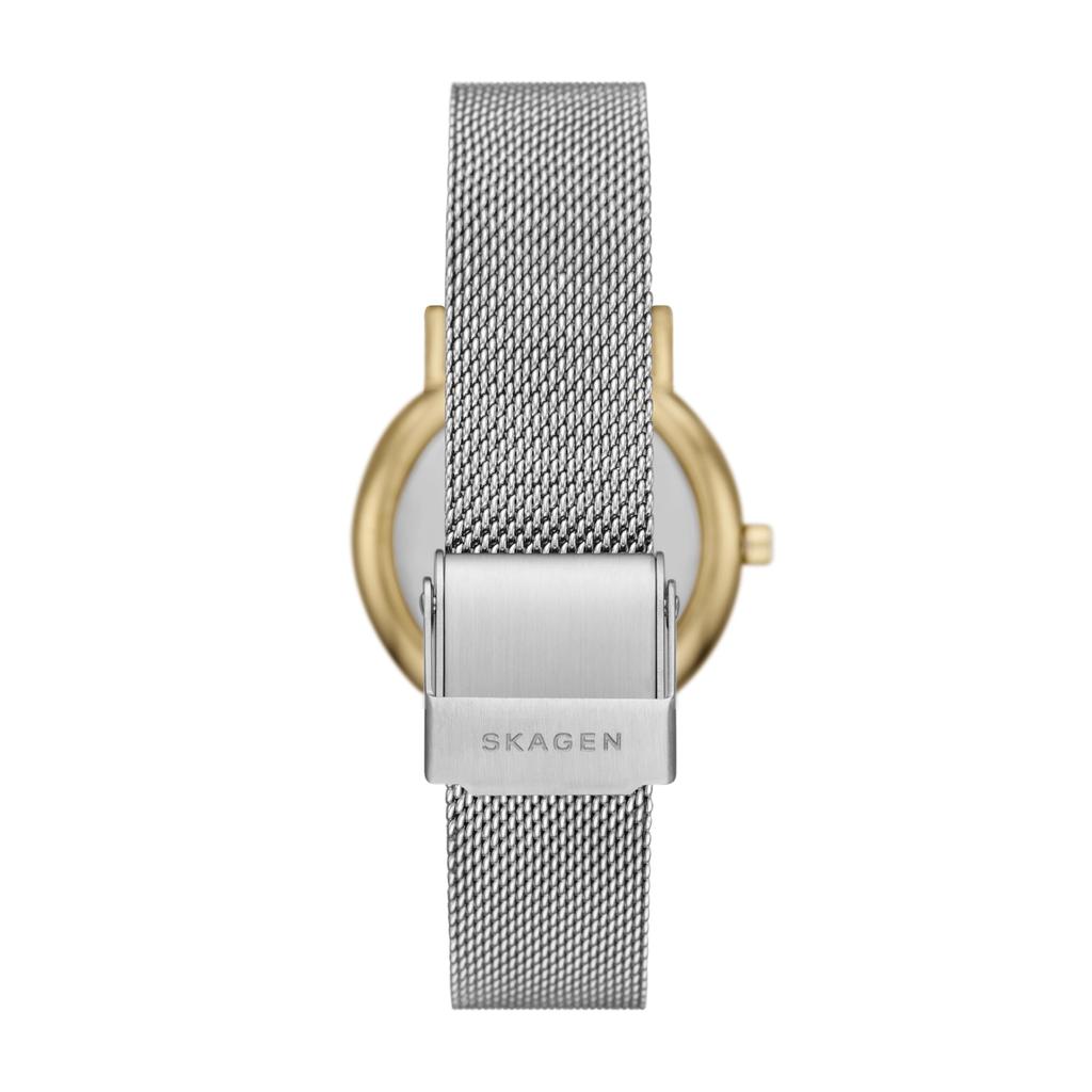 Skagen SIGNATUR LILLE SKW3153SET Women's Silver Watch