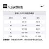 Nike Мужское теннисное поло Court Heritage FQ2102-429