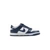 Nike Данк Лоу (GS) 'Белый/Полуночный синий' FB9109-116