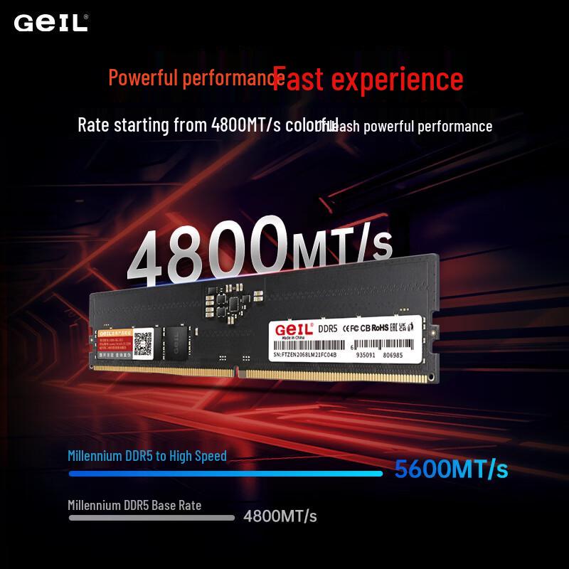 GEIL Millennium 16 ГБ DDR5-5600 Оперативная память для настольного ПК