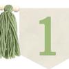 1st Birthday High Chair Banner Green Party Tassel Themed Birthday Decoration Decoration Girl Baby
