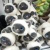 Paba Series Magnetic Plush Lying Figure - Qixi Festival Gift Refrigerator Magnet