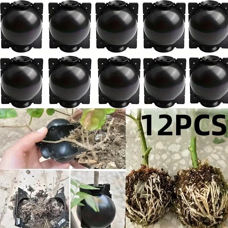 12Pcs Plant Rooting Ball Transplant Nursery Ball Sapling Propagation Grafting Breeding Case For Home Gardening Tools
