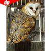 Diamond Painting Full Round Arrival Animals Picture Of Rhinestones Diamond Embroidery