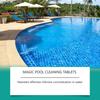 Таблетки пролонгированного действия для очистки бассейна, Стабильные, Контроль, Подходят для частного бассейна, для плавающего дозатора