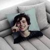 T-Timothee C-Chalamet Throw Pillow Case For 50Cm 30Cm 55Cm 45Cm 40Cm Square Bed Pillowcase Cover