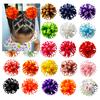 2pcc Spring Hair Accessories Grosgrain Ribbon Ball Flower Loopy Puffs Hair Bow Clip Round Loopy Hair Clip for Toddle Girls