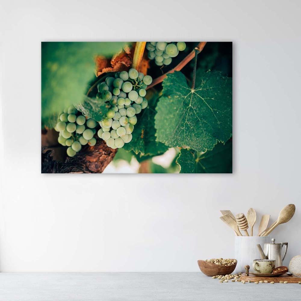 Canvas print, Green Grapes