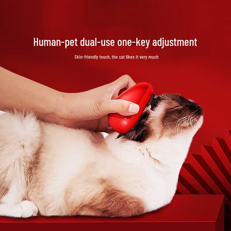 breo Scalp mini Head Massager