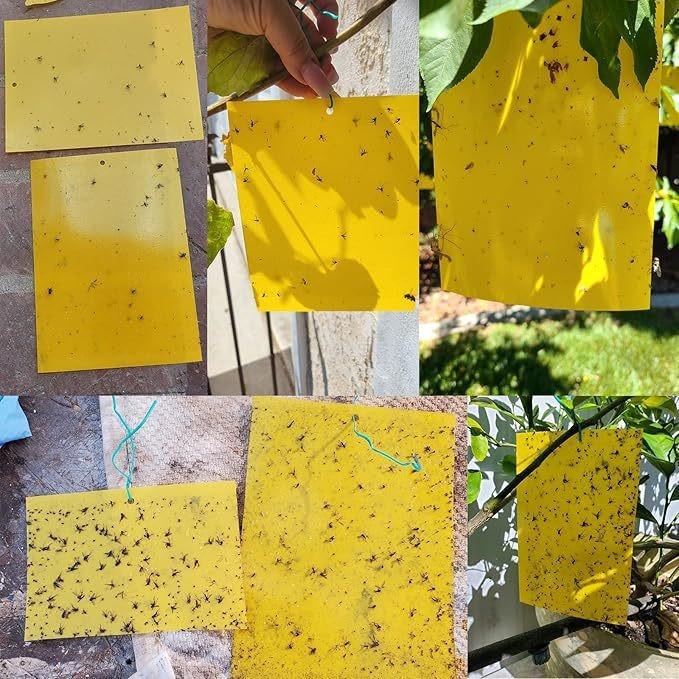 Липкие ловушки для вредителей 20x10 см, 50 шт. Прочный клейкий ламинированный мухоловка-бумага для борьбы с насекомыми, для сада, теплицы
