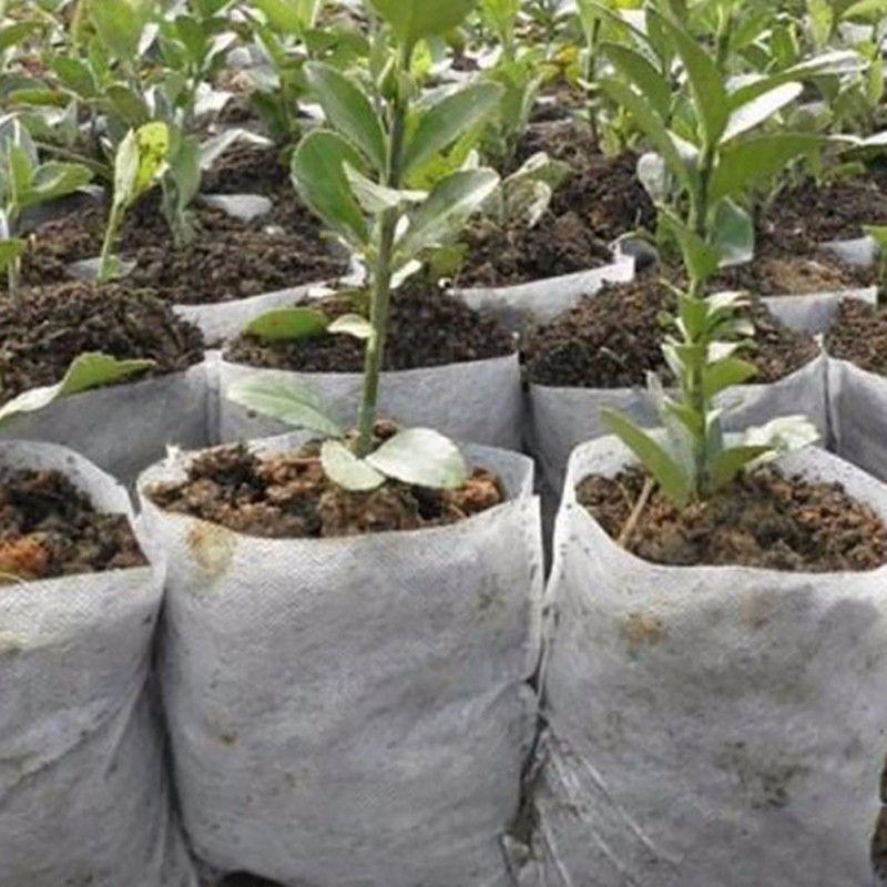 25/50/100pcs Biodegradable Nonwoven Fabric Nursery Plant Grow Bags Seedling Growing Planter Planting Pots Garden Eco-Friendly Ventilate Bag