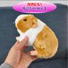 MIMIA Guinea Pig Plush Small Guinea Animal Doll Toy, Gift, Animal, Fluffy, Large, Cute, Realistic, Kids, Pet, Pig, Mouse, (Guinea Pig)