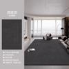Large Living Room Carpet Washable Waterproof Minimalist Luxury Home Rug for Sofa Bedroom