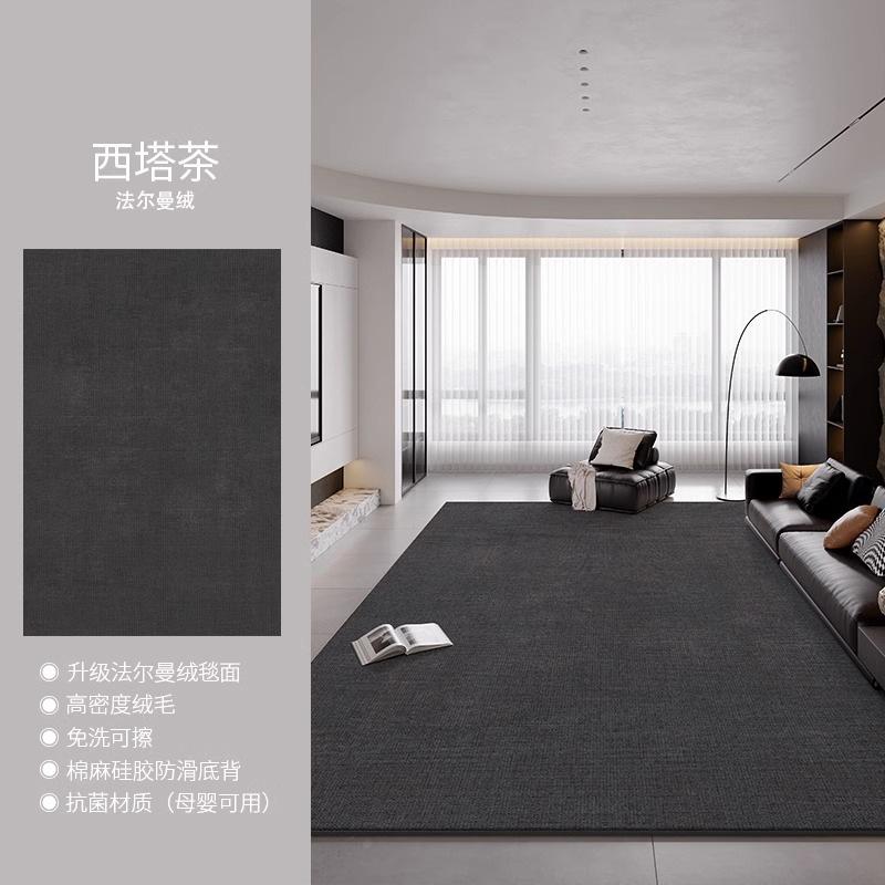 Large Living Room Carpet Washable Waterproof Minimalist Luxury Home Rug for Sofa Bedroom