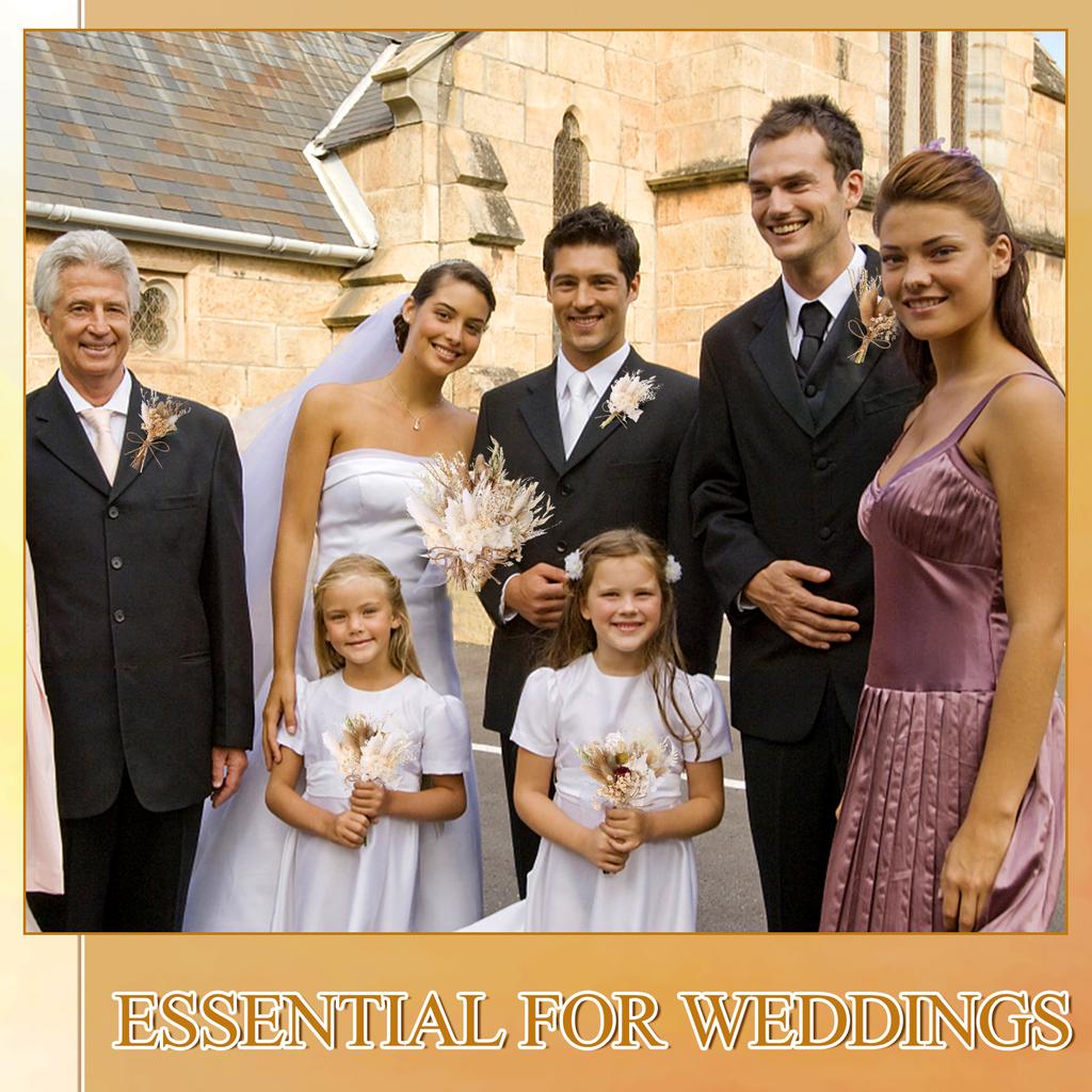 12 шт. букет из сухоцветов в стиле бохо, мини-сухоцветы, мини-сухоцветы для свадьбы, украшения из сухих цветов ручной работы, натуральные ветки, собачий хвост, кролик