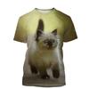 Summer Casual Short Sleeved T-shirt New 3D Plush Cat Fun Kitten Print Personalized Versatile T-Shirts
