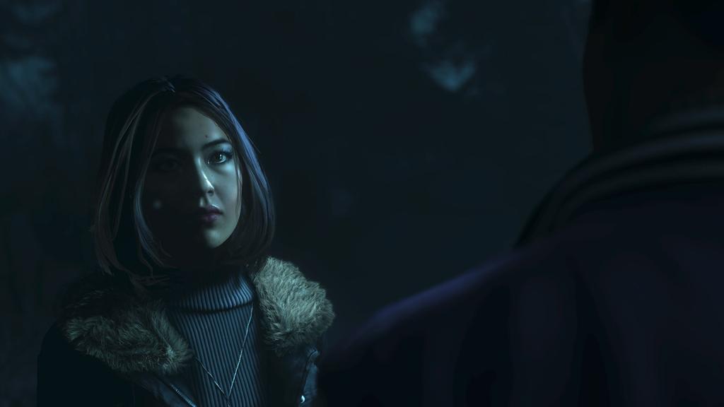 Until Dawn PlayStation выходит на Север PS4 (Импорт Америка) -