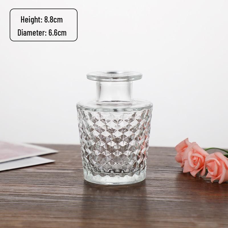 Small French Retro Glass Hydroponic Vase for Home Decor