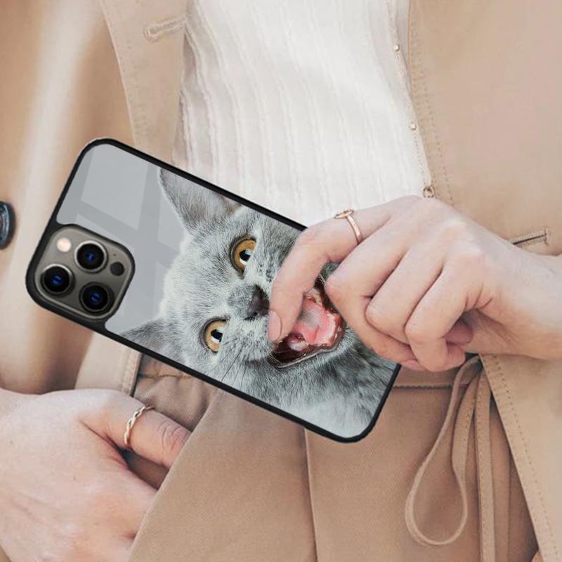Beautiful Grey British Shorthair Cat Magnetic Phone Case For iPhone 17 Air 16 14 13 12 Pro Max 15 Plus Wireless MagSafe Cover