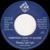 7-дюймовая пластинка BUNNY LIE LIE Something Going To Happen BNS003 Big Nail Music 2006 Великобритания Регги Ска Даб Б/у