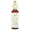 Original Flower Remedy, Star Of Bethlehem, 20Ml(0.7Fl Oz)